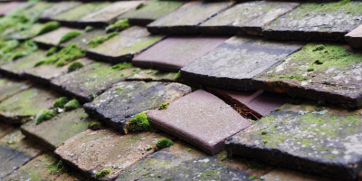 Shaftesbury roof repair costs